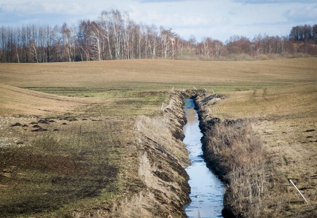 Merė A. Miškinienė: gera žinia - asociacijos „Noragėlių melioracija“ parengtam melioracijos...